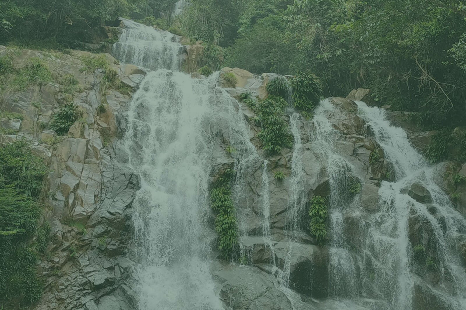 Con el corazón 💚, GRACIAS! En el municipio de Puerto Nare, en proximidad  al corregimiento de la Sierra, a orillas del rio Magdalena se encuentra  la