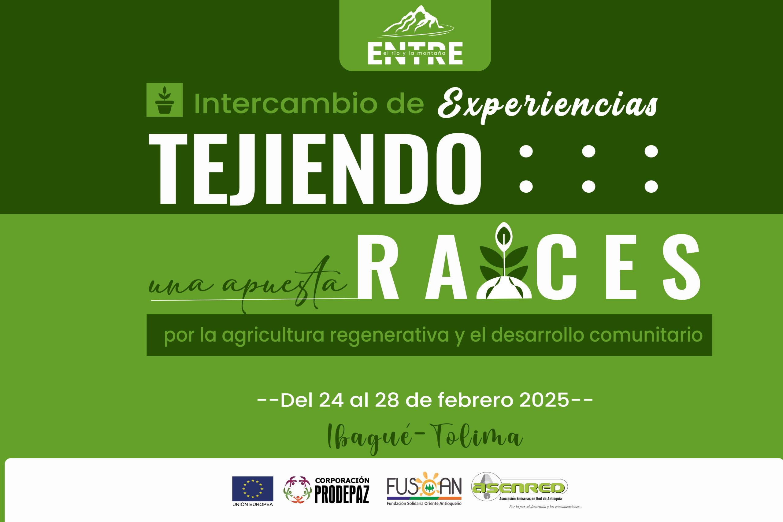 Tejiendo Raíces: una apuesta por la agricultura regenerativa y el desarrollo sostenible