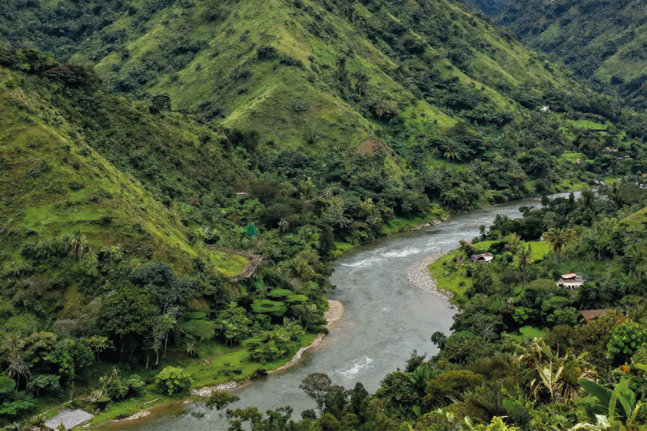 Inicia la Bioexpedición Entre el Río y la Montaña “El camino de mulatos”: diez días para conocer la biodiversidad, la memoria y las oportunidades de un territorio estratégico de Antioquia